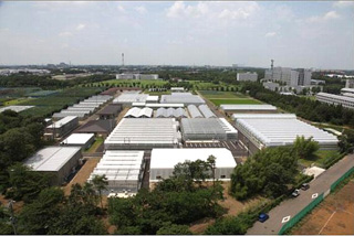 図3●千葉大学柏の葉キャンパス（千葉県柏市）にある植物工場 （写真：「柏の葉キャンパスシティ」の2011年7月12日付発表資料）