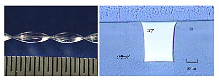 【写真3】試作したフレキシブル光導波路。ねじった状態と断面。出典：オムロン