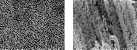 【写真2】酸化ニッケル微粒子の電子顕微鏡写真。左は酸化ニッケル微粒子が集合して繊維組織を形成した様子，右はそれをさらに60倍拡大した写真で，多孔体であることがわかる