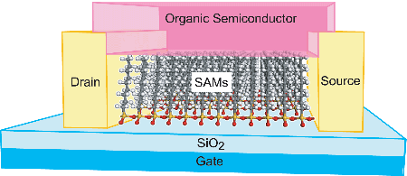 【図1】SAMsを用いた有機薄膜電解効果トランジスタの概念図