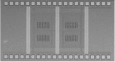 NECの「不揮発性磁気フリップフロップ」のチップ写真